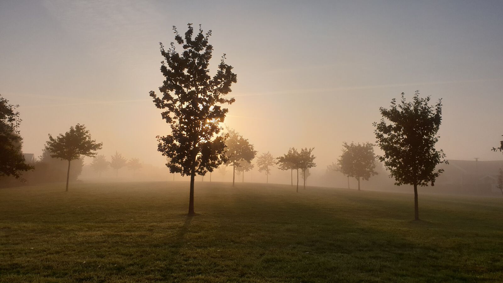 Samsung SM-G965F sample photo. Fog, nature, trees photography
