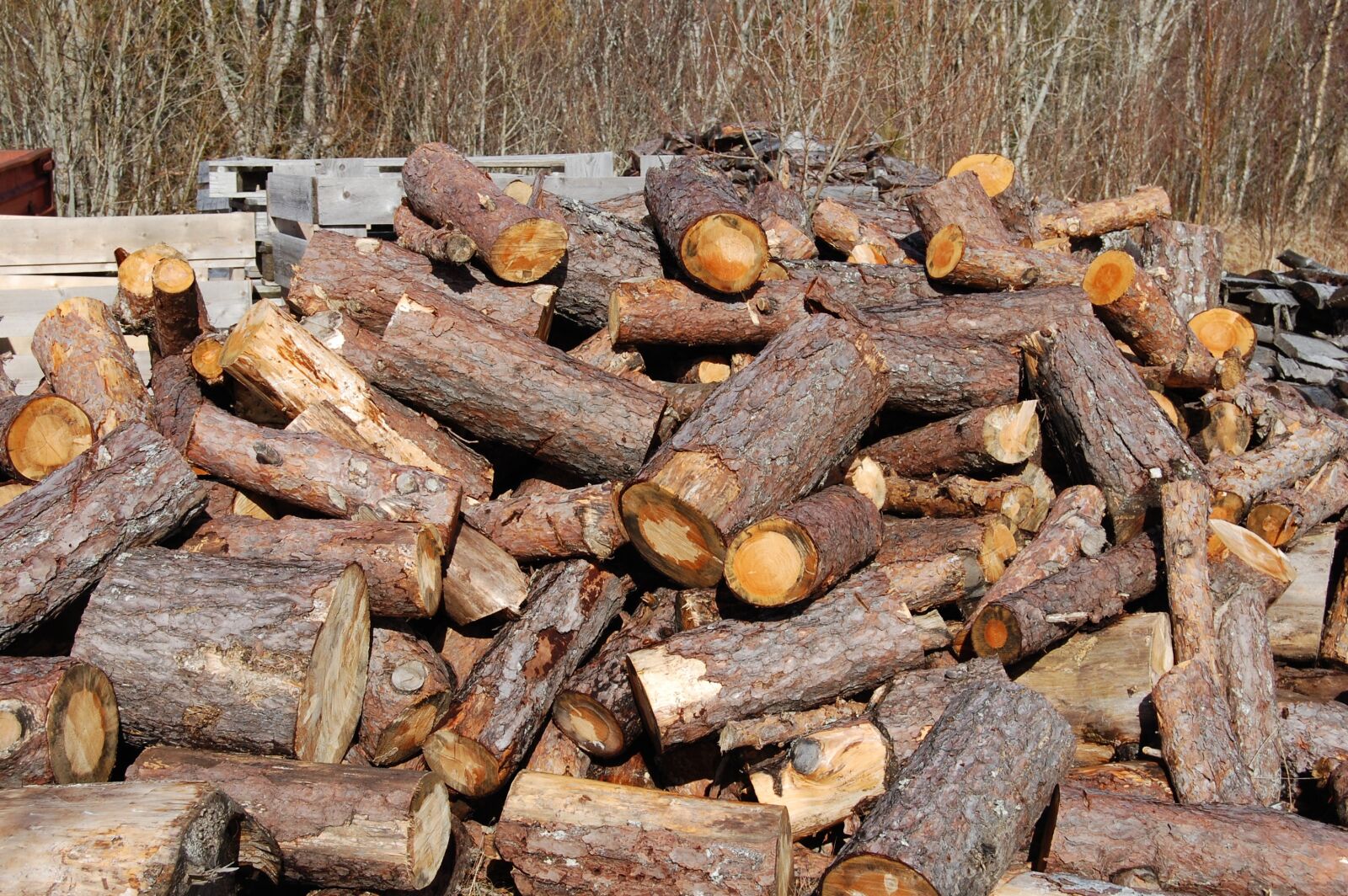 Nikon D40 sample photo. Logs, wood, firewood photography