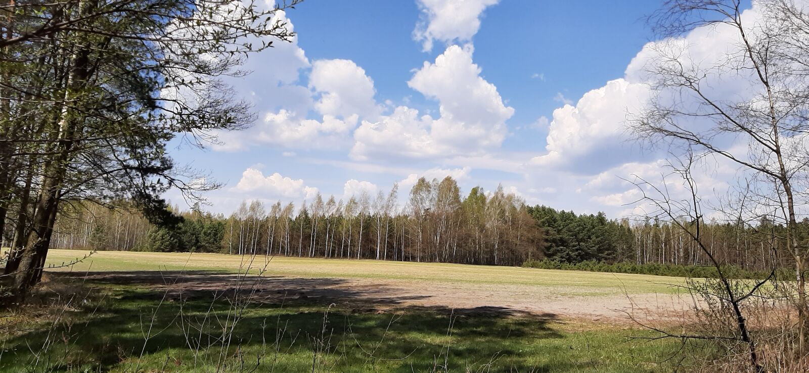 Samsung Galaxy A50 sample photo. Forests, nature photography