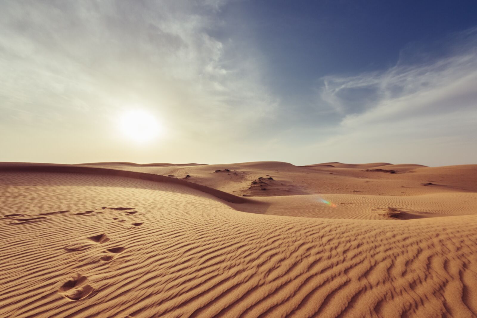 Canon EOS 600D (Rebel EOS T3i / EOS Kiss X5) sample photo. Arid, barren, dawn photography