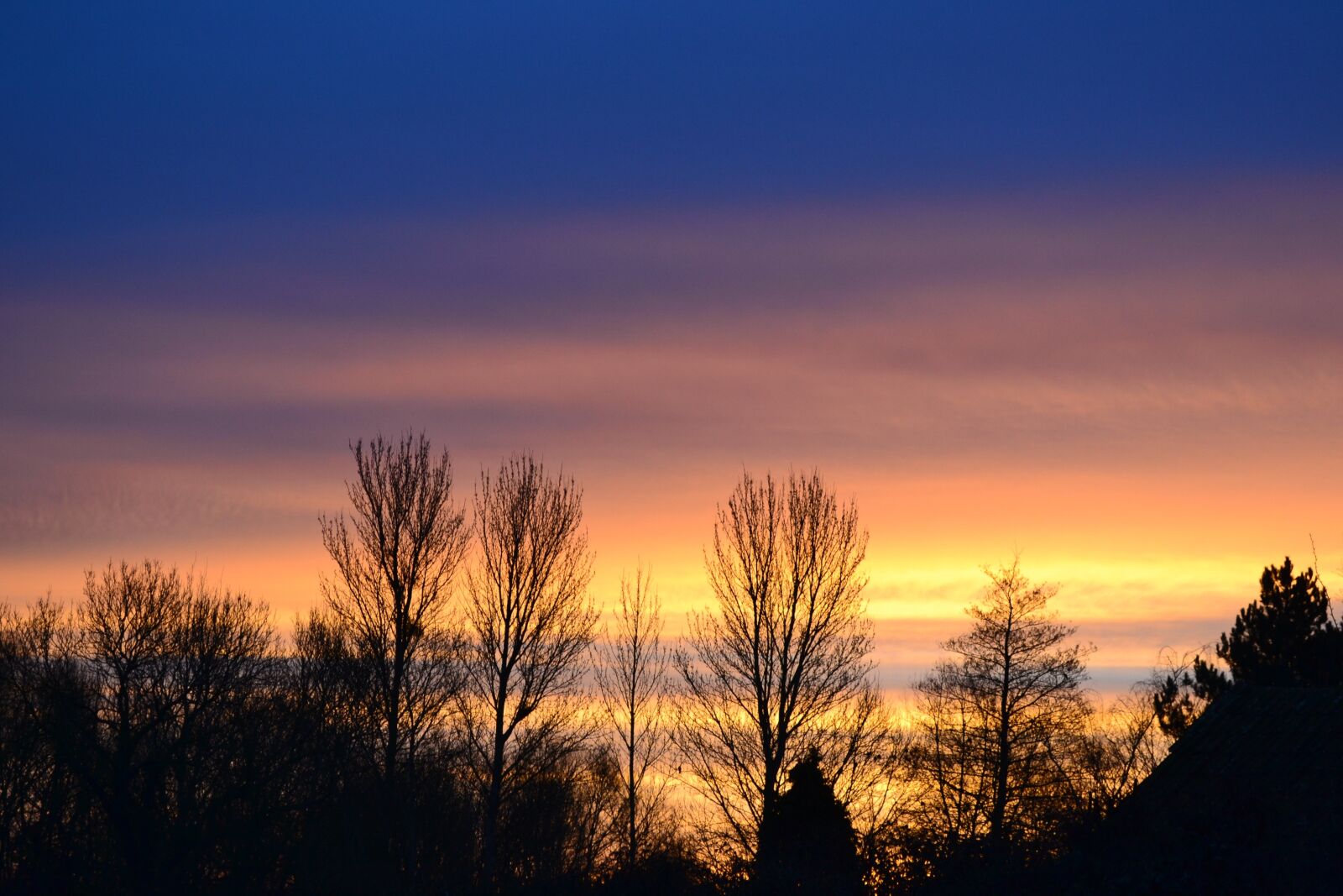 Nikon D3100 sample photo. Sky, sunrise, tree photography