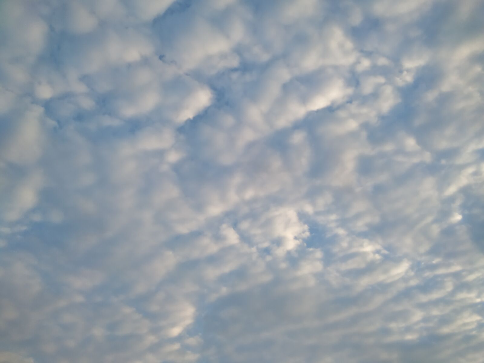 Xiaomi MI 6X sample photo. Sky, clouds, sunny days photography