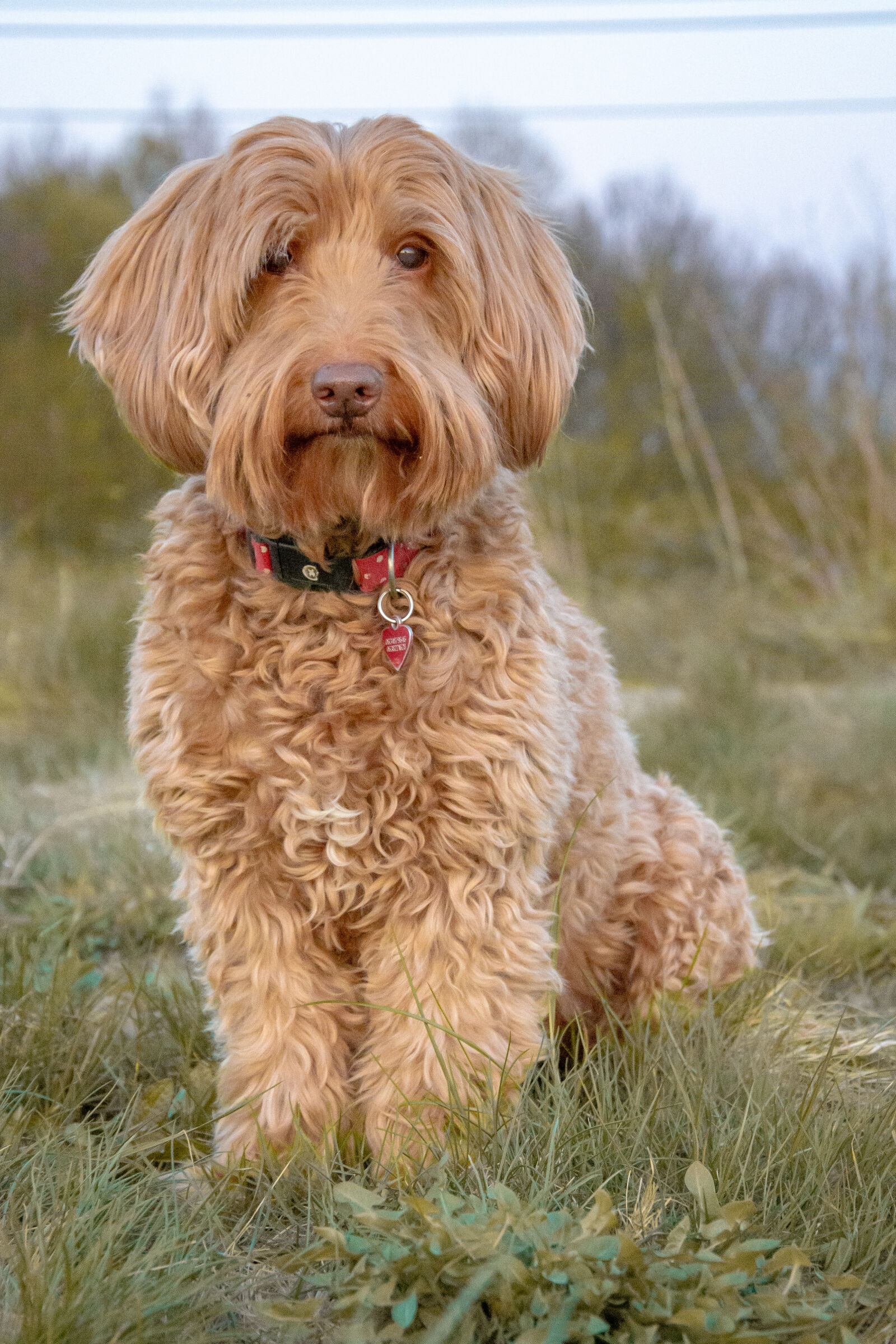 Nikon D5200 sample photo