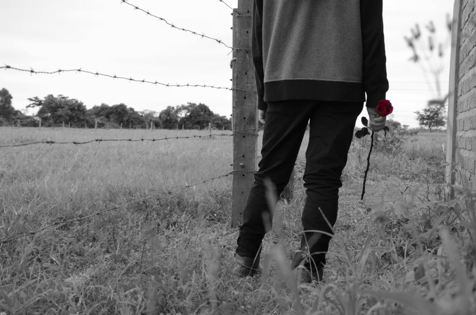 Nikon D7000 sample photo. Rose, love, boy photography