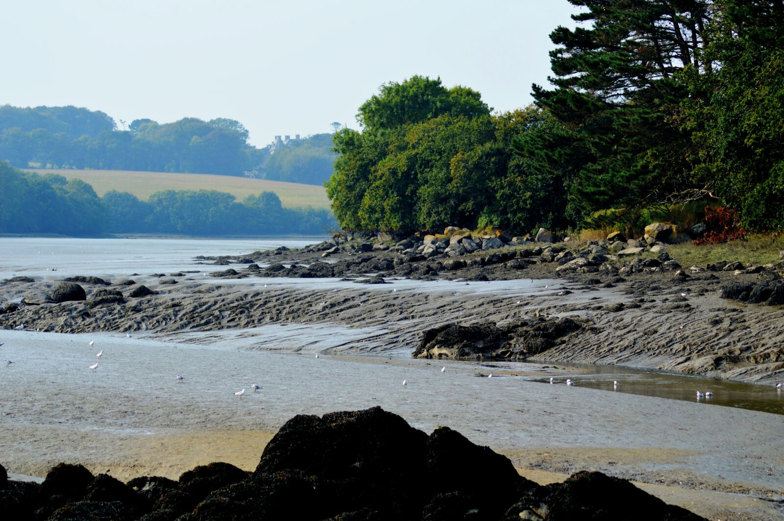 Nikon D3200 sample photo. River, pebbles, rock photography