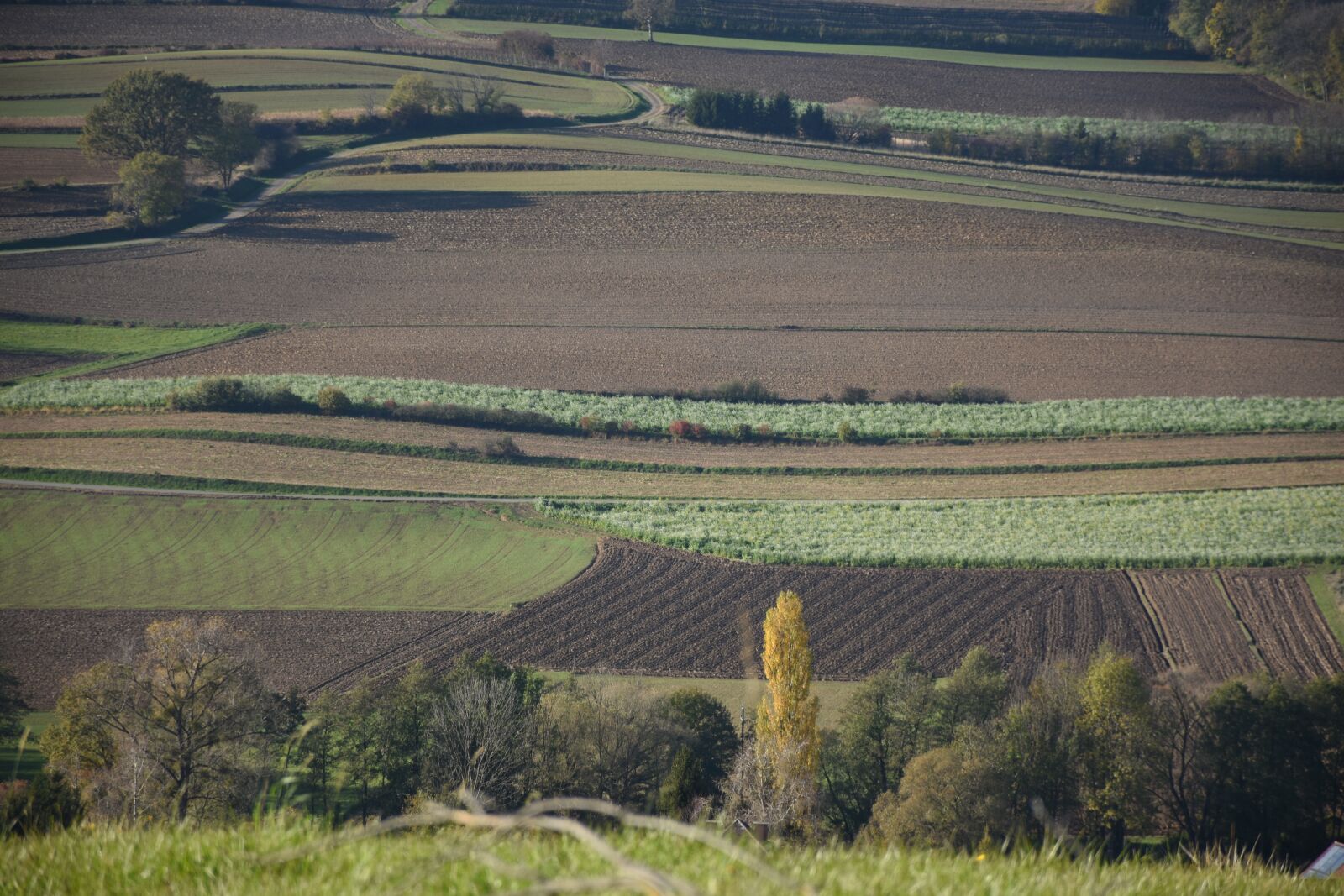 Nikon D7200 sample photo. Agriculture, wide photography