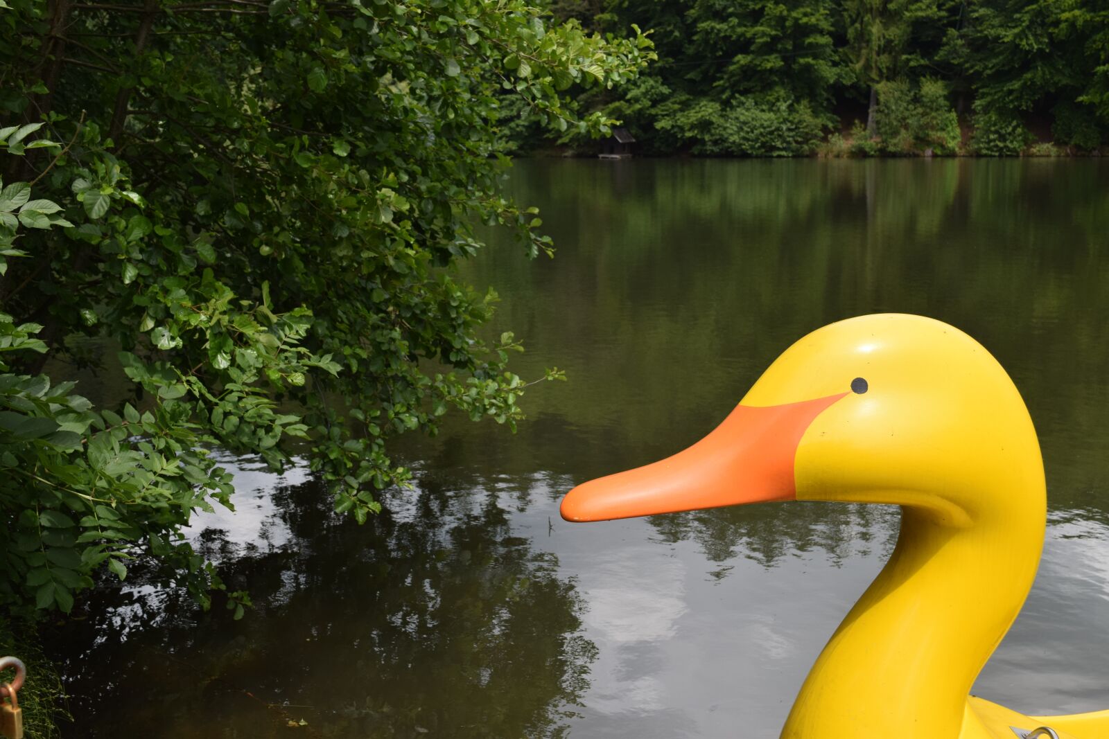 Nikon D5300 sample photo. Duck, pond, pedal boat photography