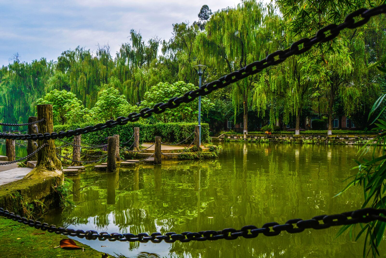 Nikon D5200 sample photo. The chains, stakes, lake photography