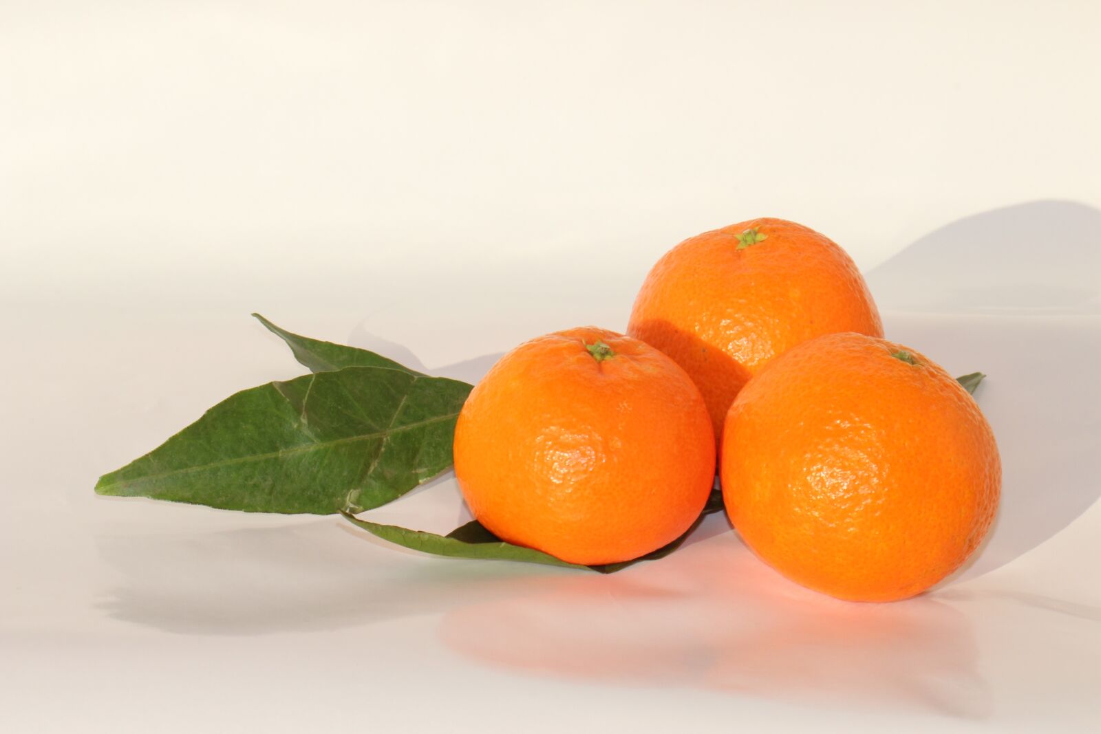 Canon EOS 700D (EOS Rebel T5i / EOS Kiss X7i) sample photo. Leaf, fruit, health photography