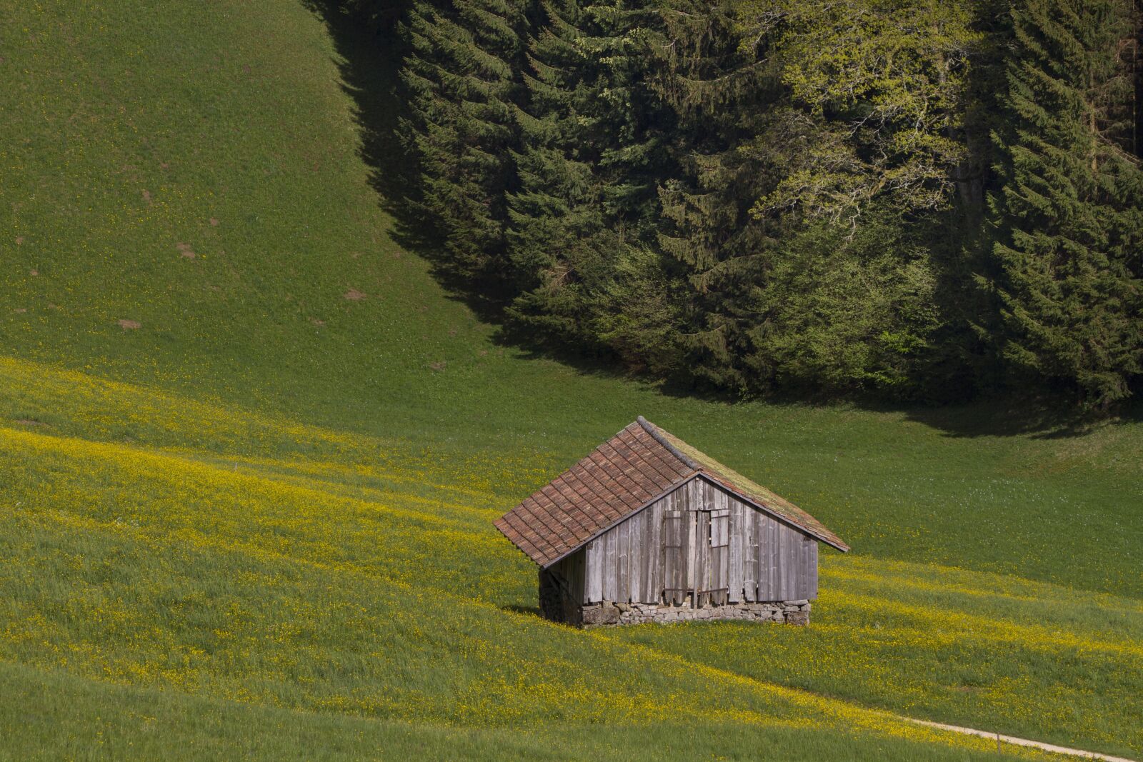 Canon EOS 7D + 150-600mm F5-6.3 DG OS HSM | Contemporary 015 sample photo. Scale, tool shed, hut photography