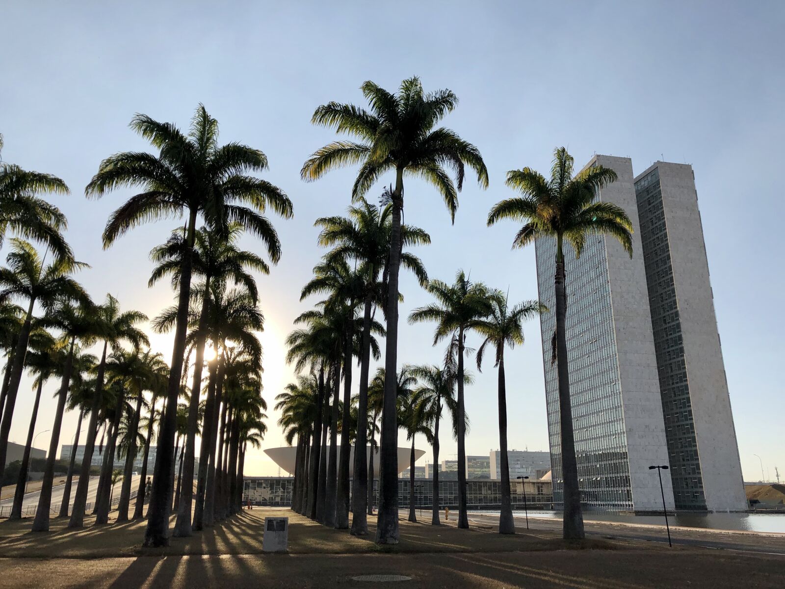 iPhone X back dual camera 4mm f/1.8 sample photo. Palm trees, garden, brasilia photography