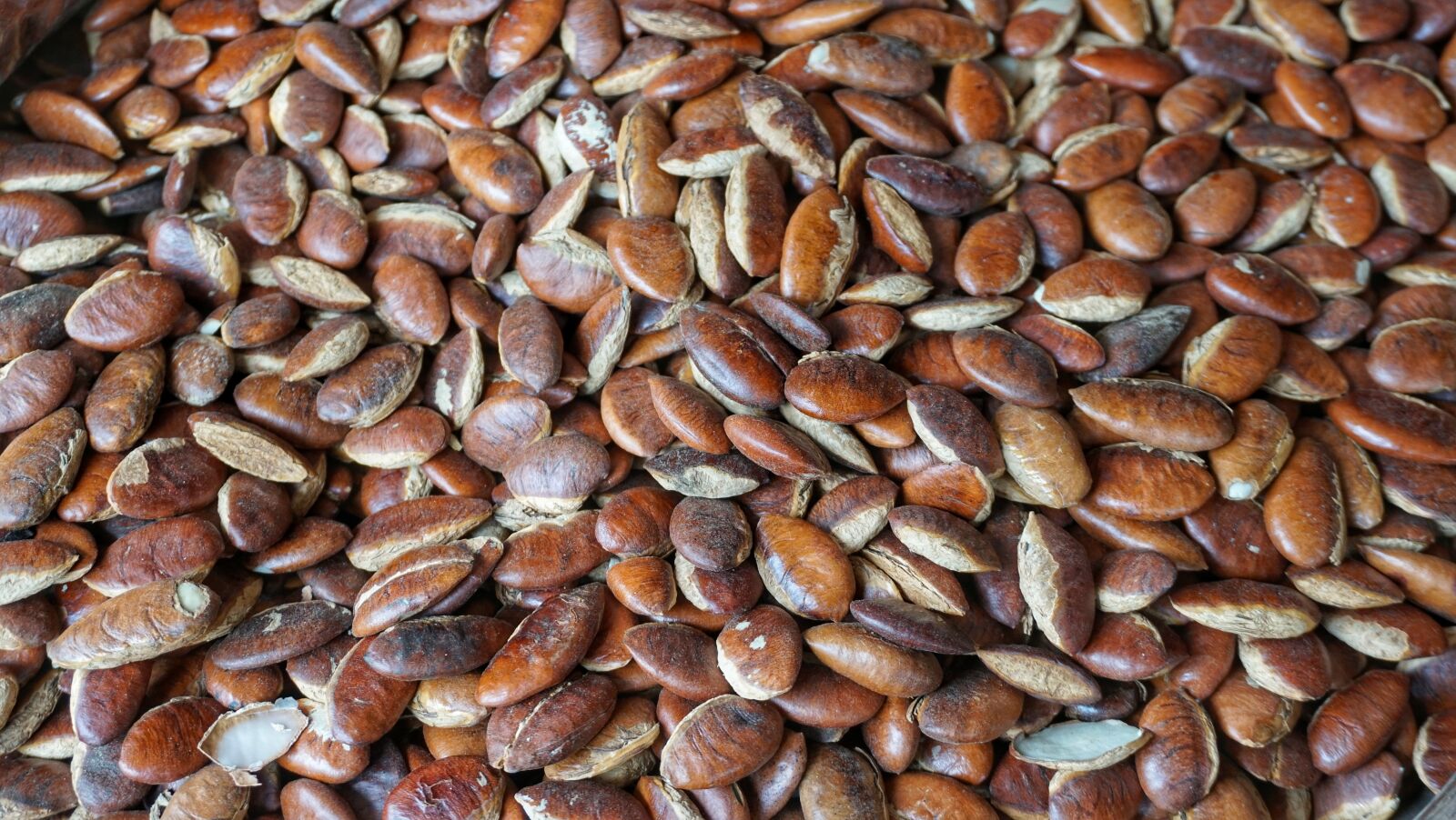 Sony a6300 sample photo. Jabok, almonds, nuts photography