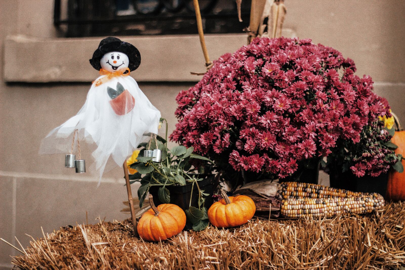 Canon EF 50mm F1.8 STM sample photo. Halloween, pumpkin, ghost photography