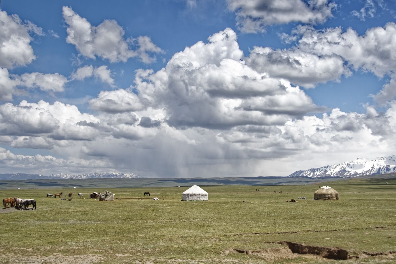 Nikon D500 sample photo. Kyrgyzstan, nomads, yurts photography