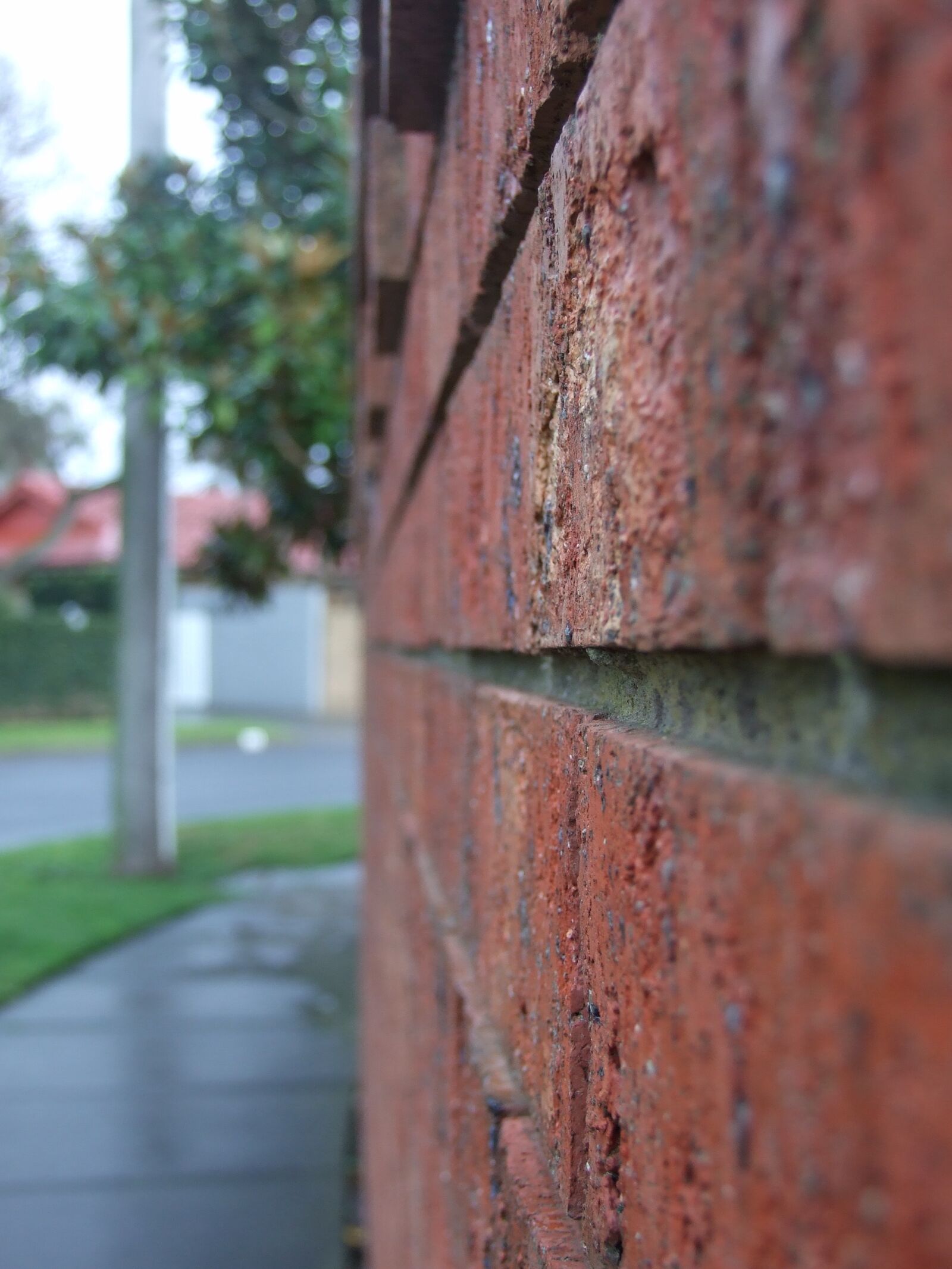 Fujifilm FinePix S6500fd sample photo. Brick, wall, bricks, red photography
