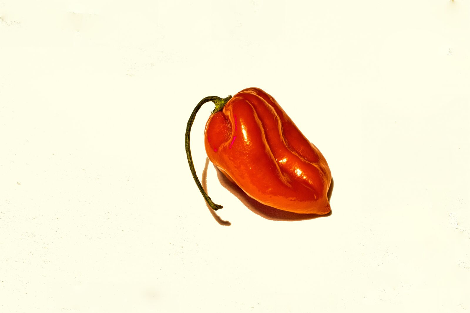 Nikon D3300 sample photo. Pepper, red pepper, food photography