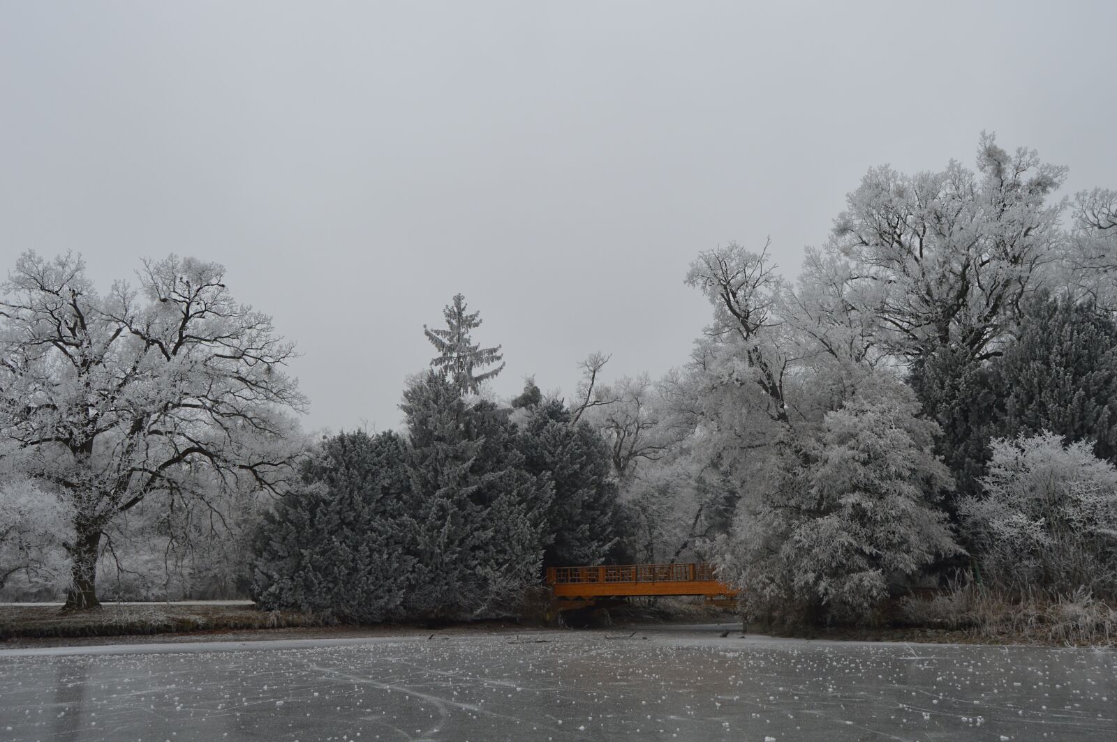 Nikon D3200 sample photo. Park, fridge, winter photography