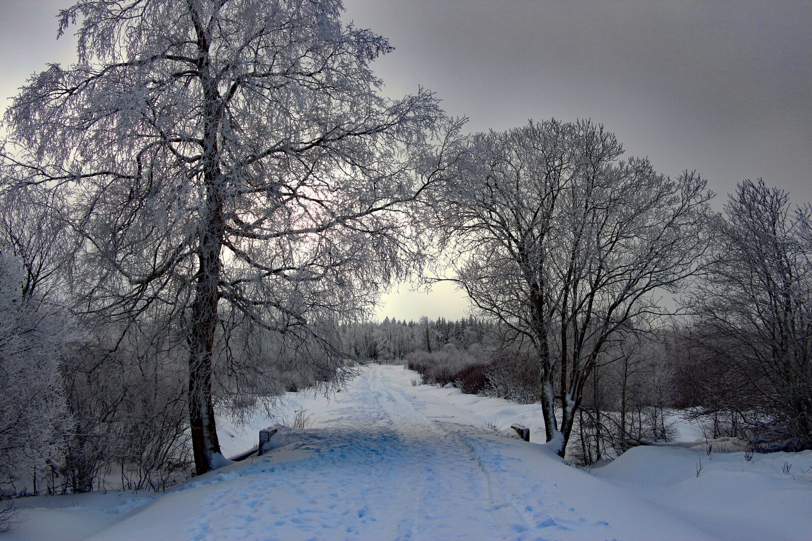Canon EOS 700D (EOS Rebel T5i / EOS Kiss X7i) sample photo. Winter, snow, wintry photography