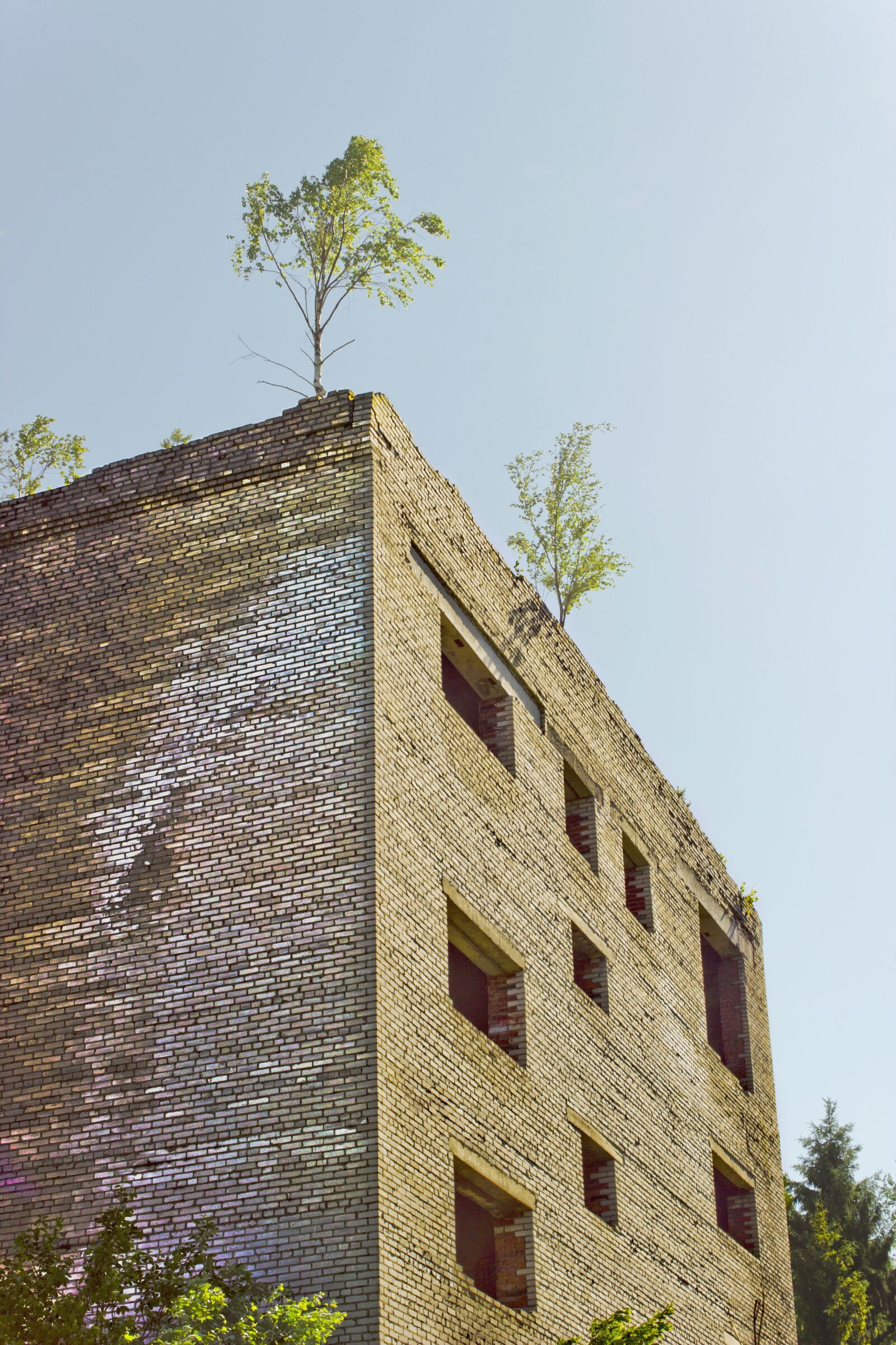 Canon EOS 600D (Rebel EOS T3i / EOS Kiss X5) sample photo. Surreal, abandoned, building photography