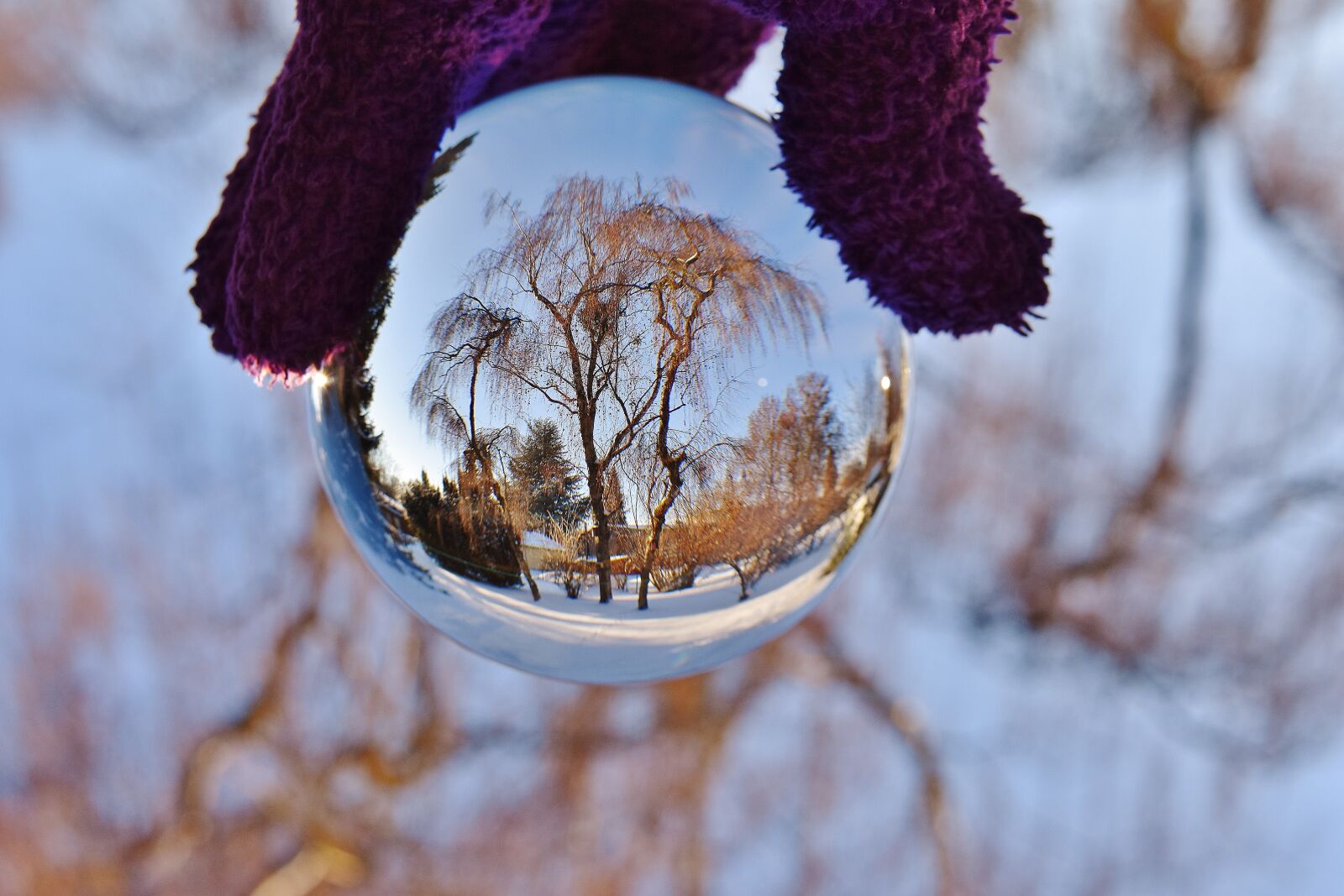 Nikon D7200 sample photo. Ball, glass, mirroring photography