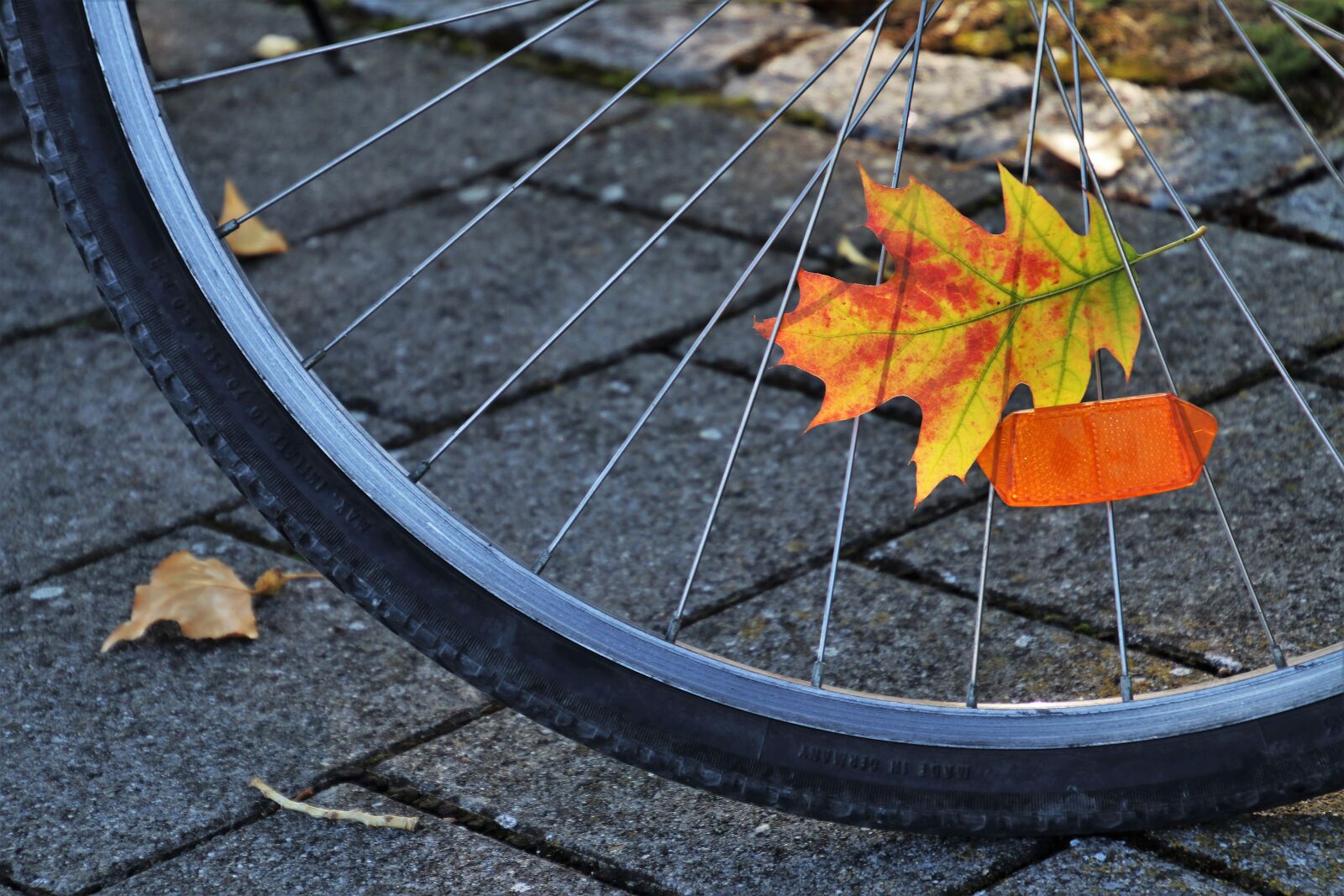 Canon EOS 80D sample photo. Bike, spokes, orange photography