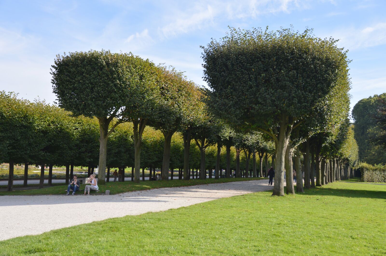 Nikon D3200 sample photo. Park, avenue, trees photography