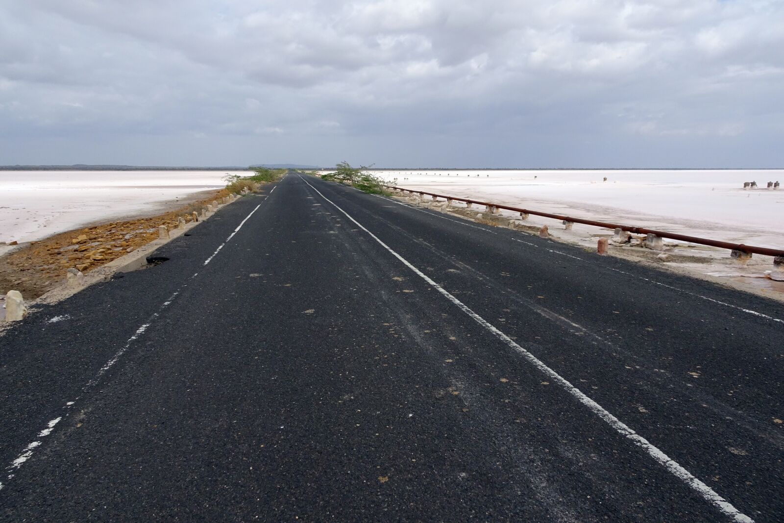 Sony Cyber-shot DSC-HX90V sample photo. Great rann, white rann photography