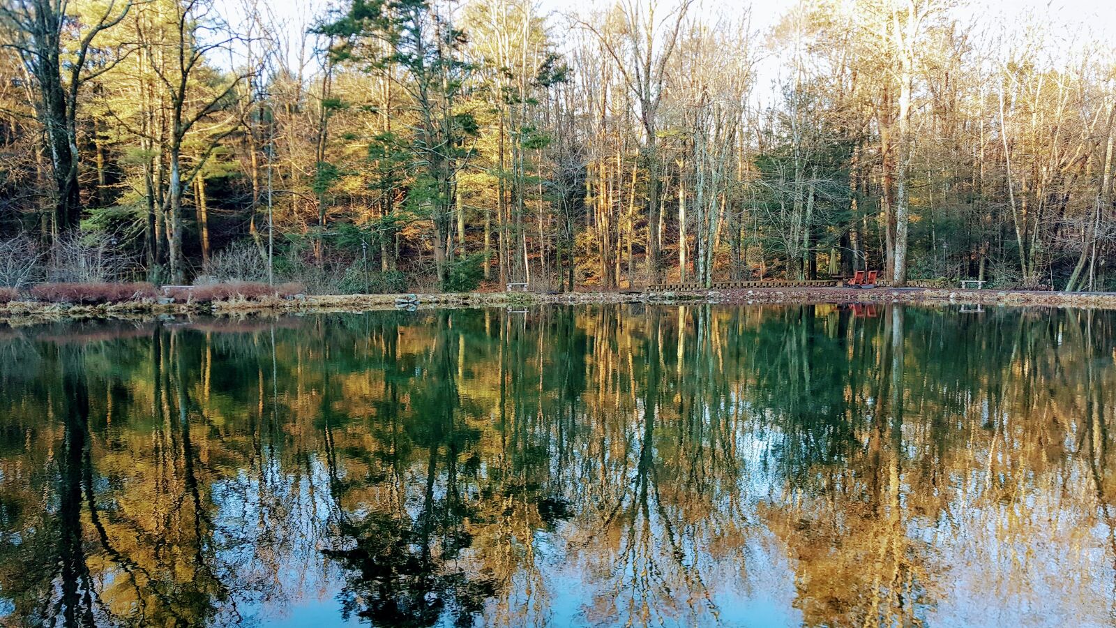 Samsung Galaxy Note5 sample photo. Reflection, trees, lake photography