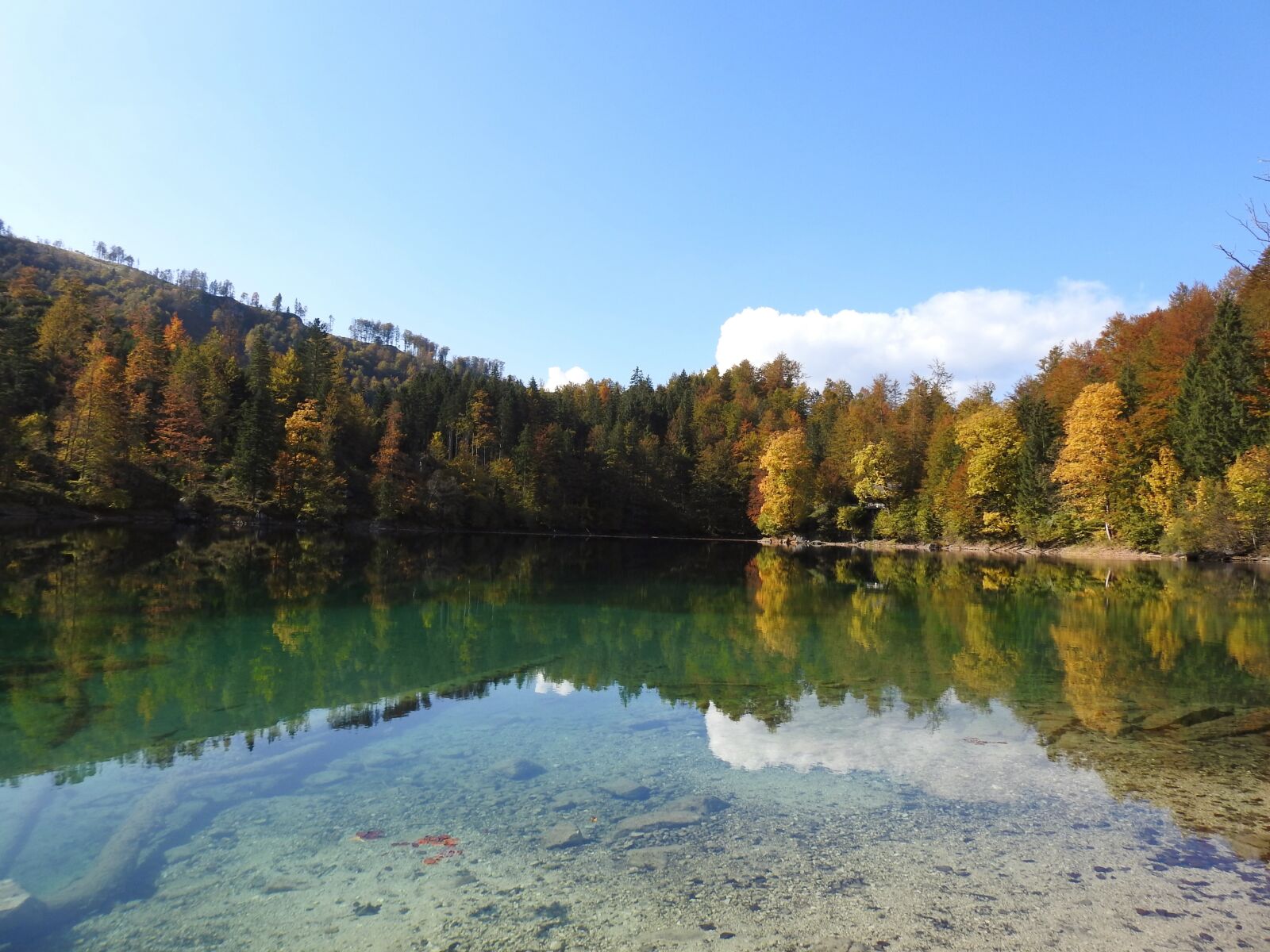 Nikon Coolpix P900 sample photo. Bergsee, forest, water photography