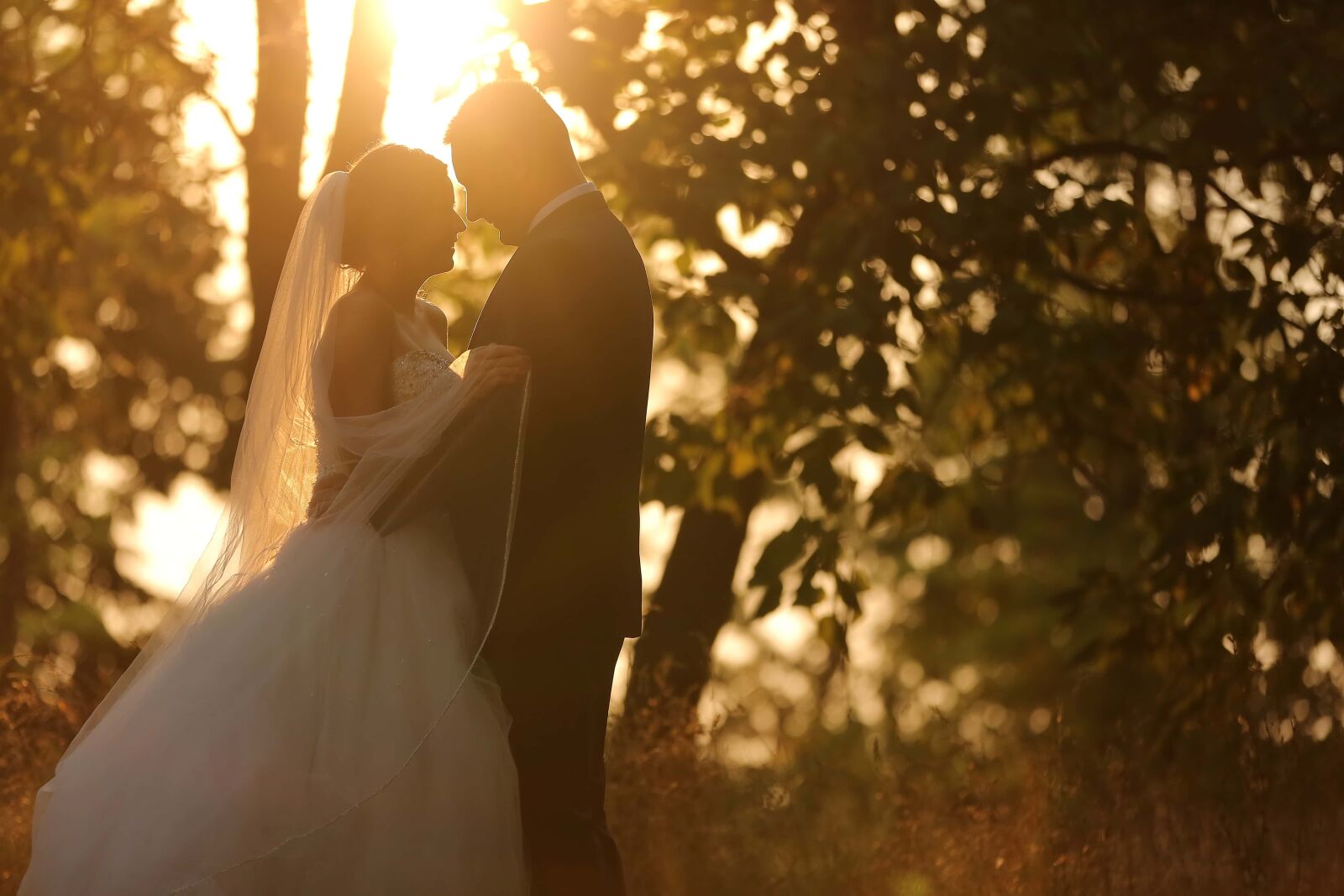 Canon EOS 5D Mark III sample photo. Hug, embrace, beautiful photo photography