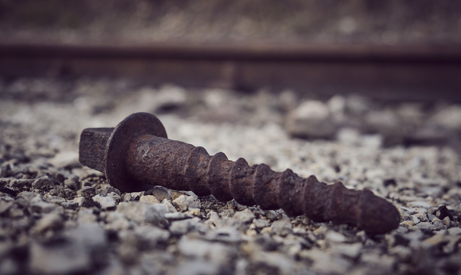 Fujifilm XF 18-55mm F2.8-4 R LM OIS sample photo. Screw, rusty, old photography