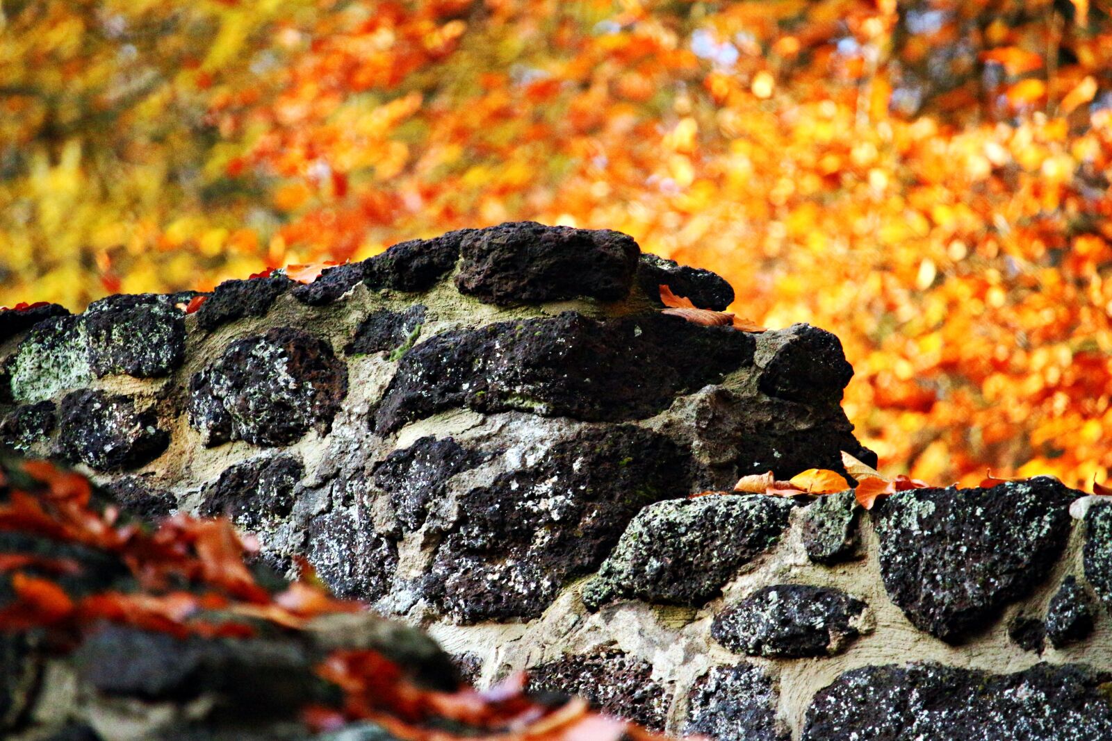 Canon EOS 100D (EOS Rebel SL1 / EOS Kiss X7) sample photo. Wall, stone, feilenmoos photography