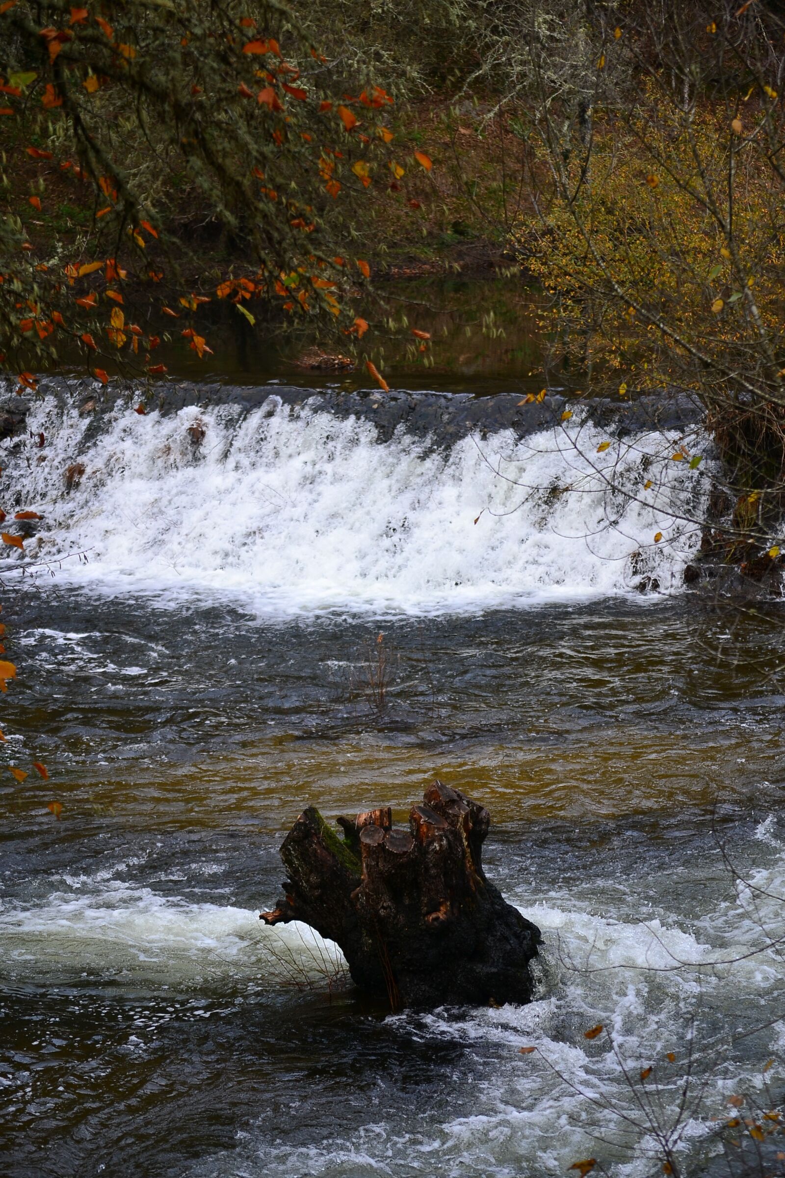 Nikon D3100 sample photo. Waterfall, river, autumn photography