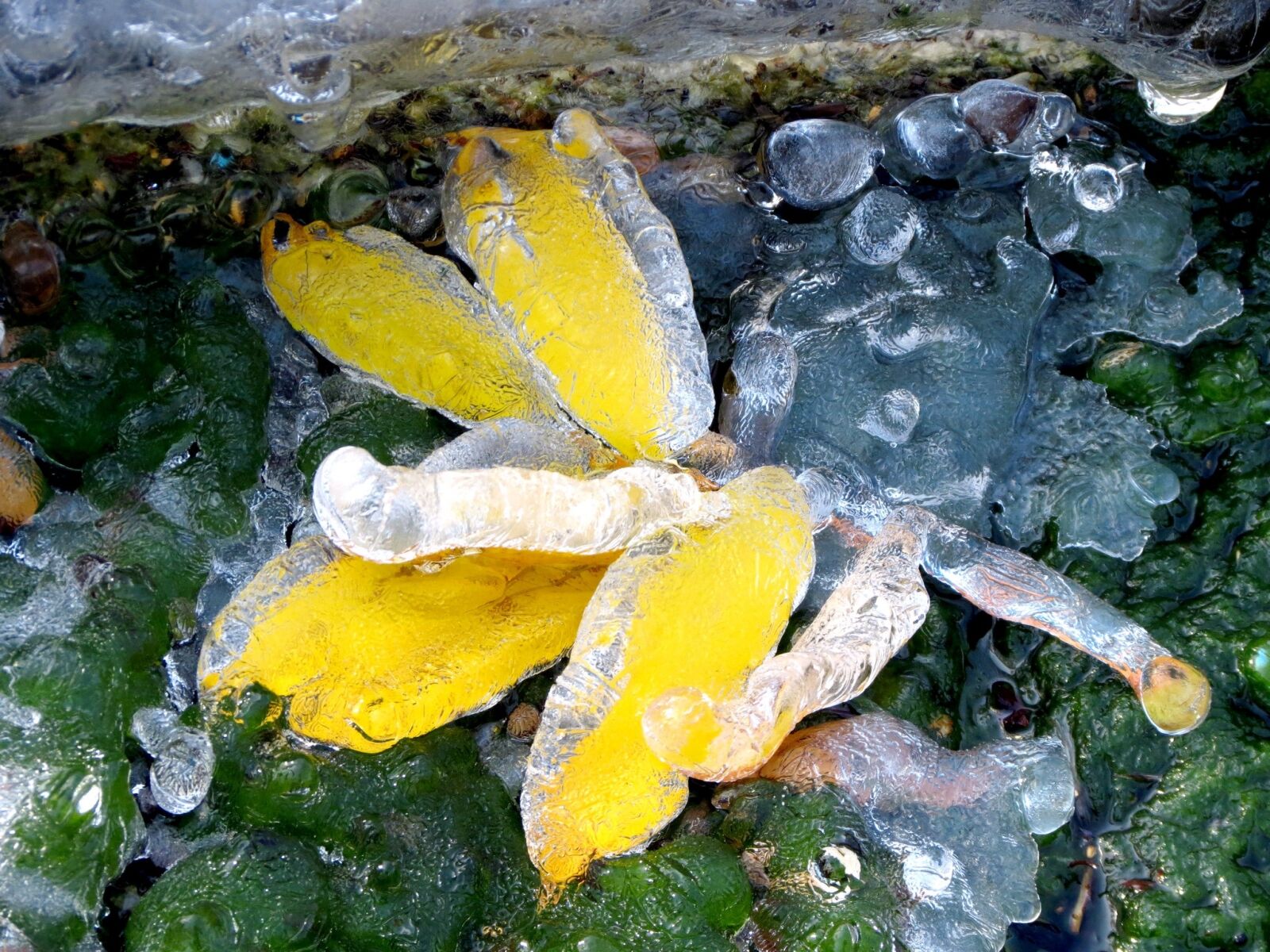 Canon PowerShot SX40 HS sample photo. Autumn, the first frost photography