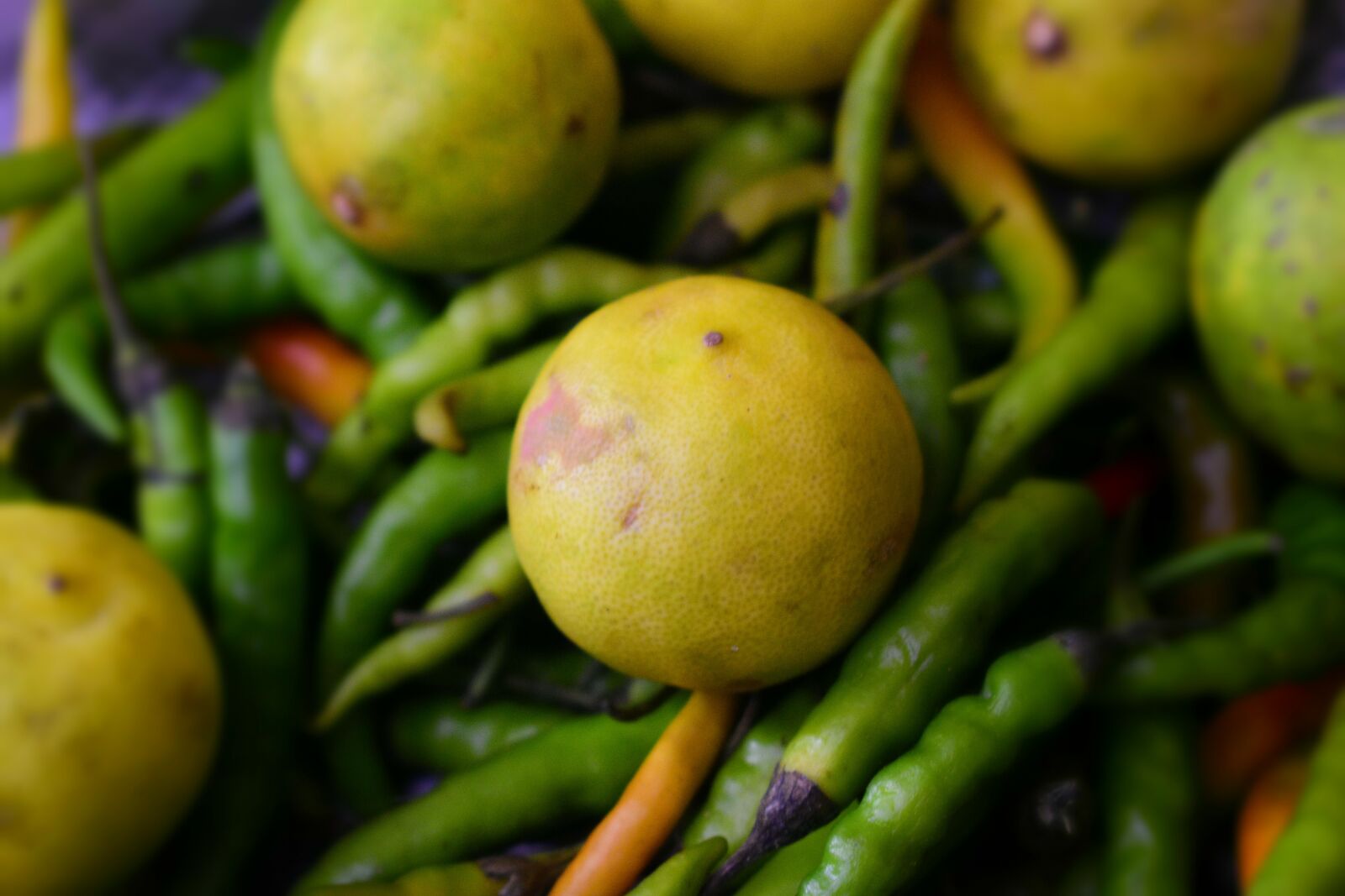 Nikon D3400 sample photo. Scientific, reason, behind photography