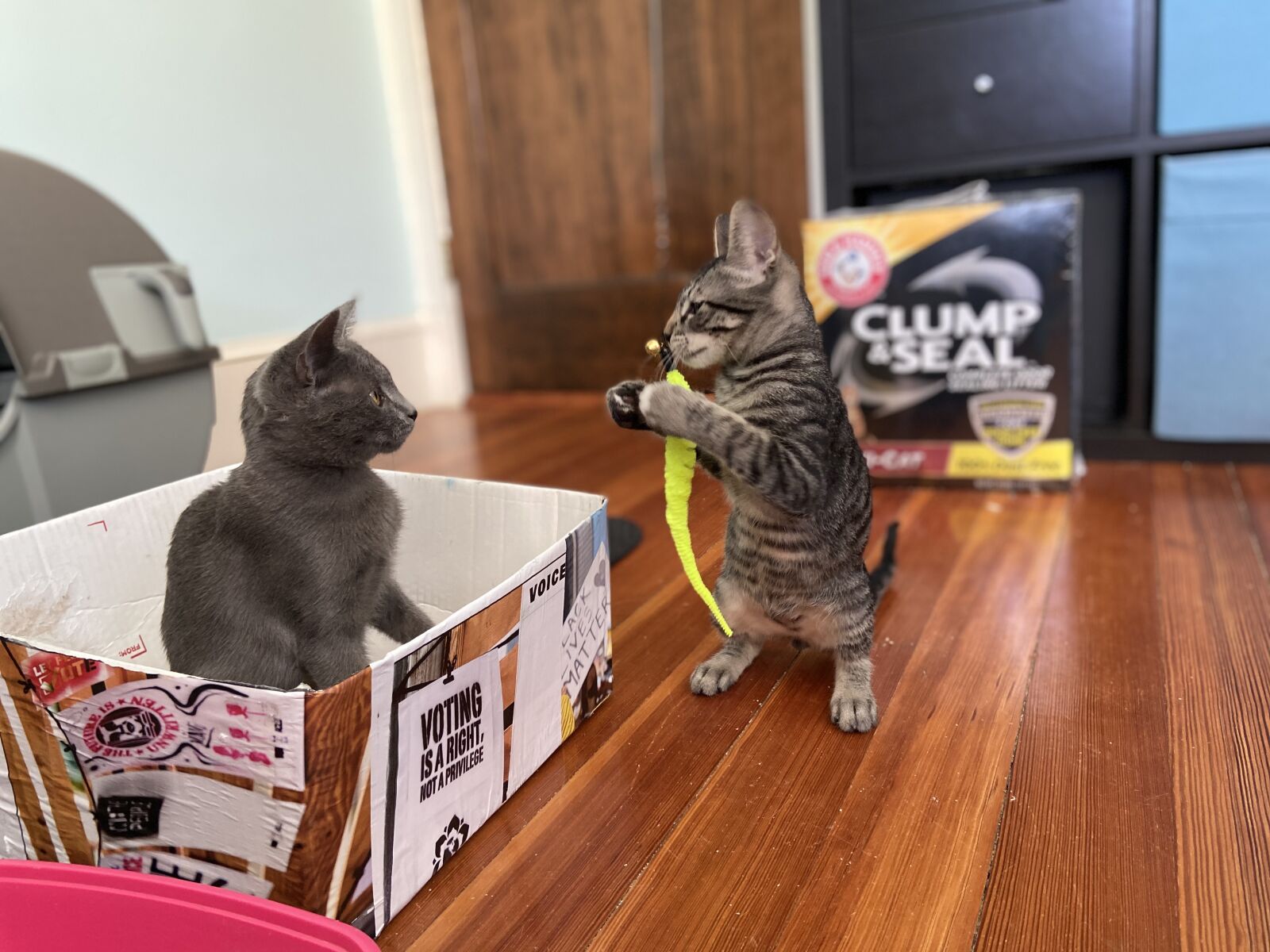 Apple iPhone 11 sample photo