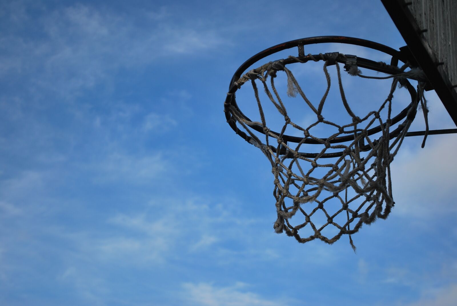 Nikon D60 sample photo. Sport, basket, basketball photography