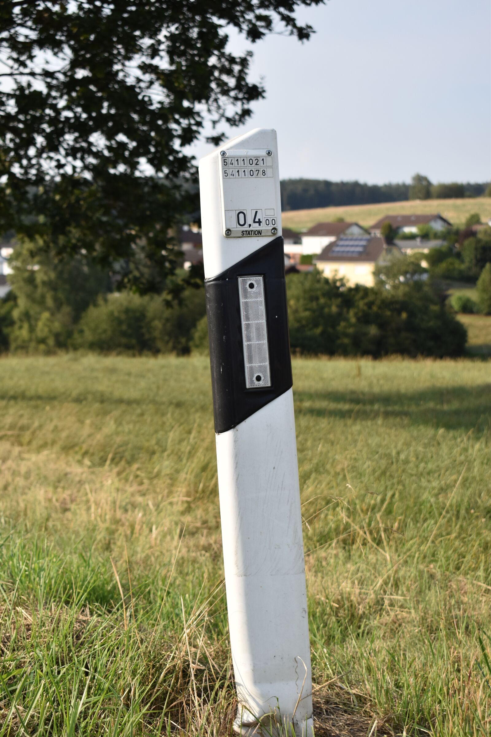 Nikon D3500 sample photo. Delineator posts, guide peg photography