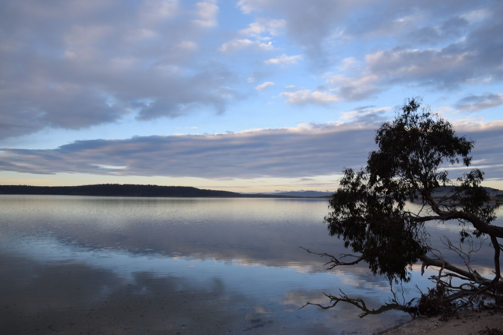 Nikon D5300 sample photo. South arm peninsula, river photography