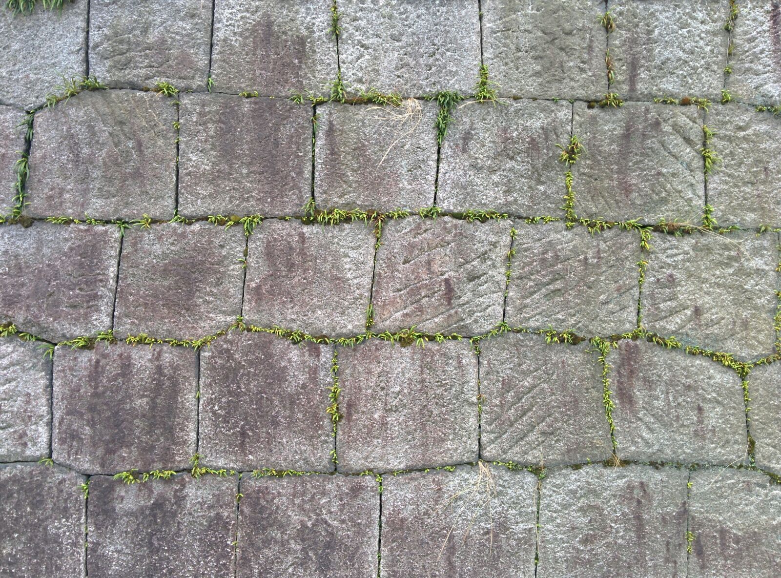 LG Nexus 5 sample photo. Stone, wall, old photography