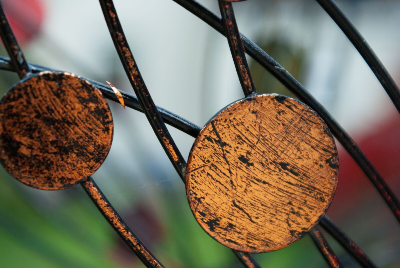 Sony Alpha DSLR-A300 sample photo. Garden, autumn, disc photography