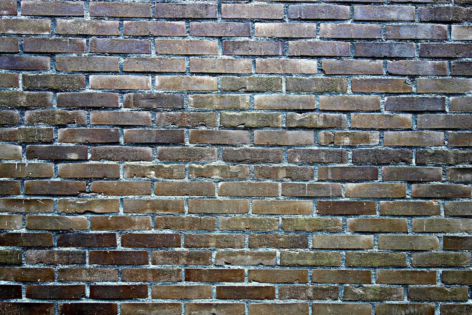 Sony Cyber-shot DSC-RX100 sample photo. Brick, wall, brick wall photography