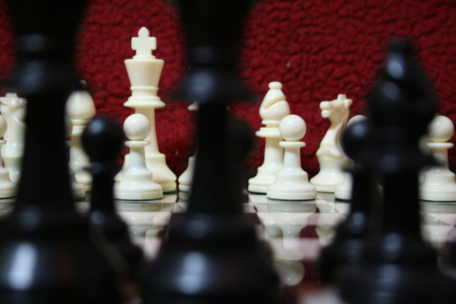 Canon EOS 400D (EOS Digital Rebel XTi / EOS Kiss Digital X) sample photo. Chess, game, strategy photography