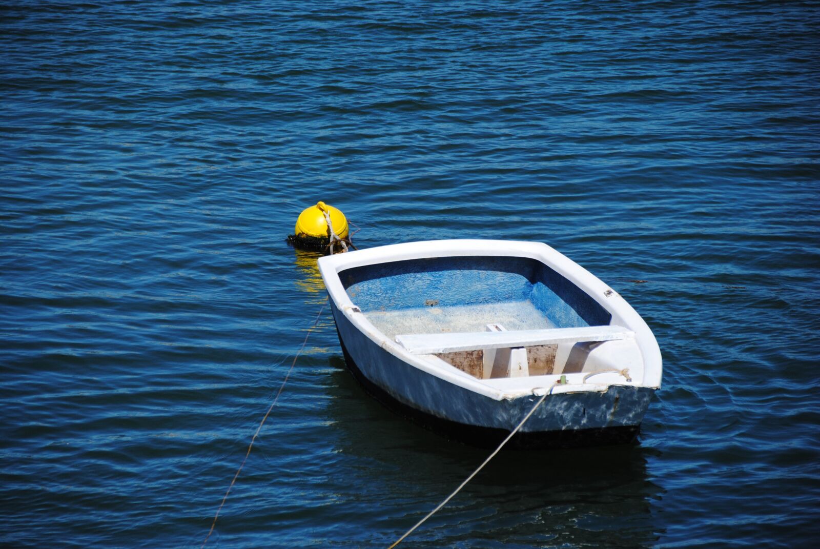 Nikon D3000 sample photo. Rowing boat, boat, blue photography