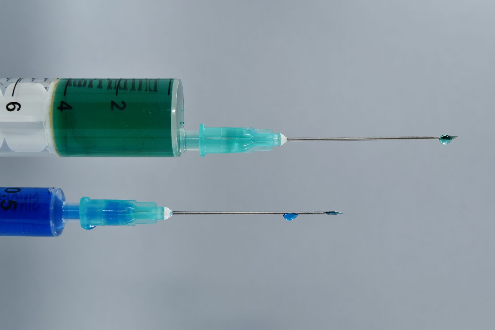 Nikon D5500 sample photo. Close-up, macro, needles, precision photography