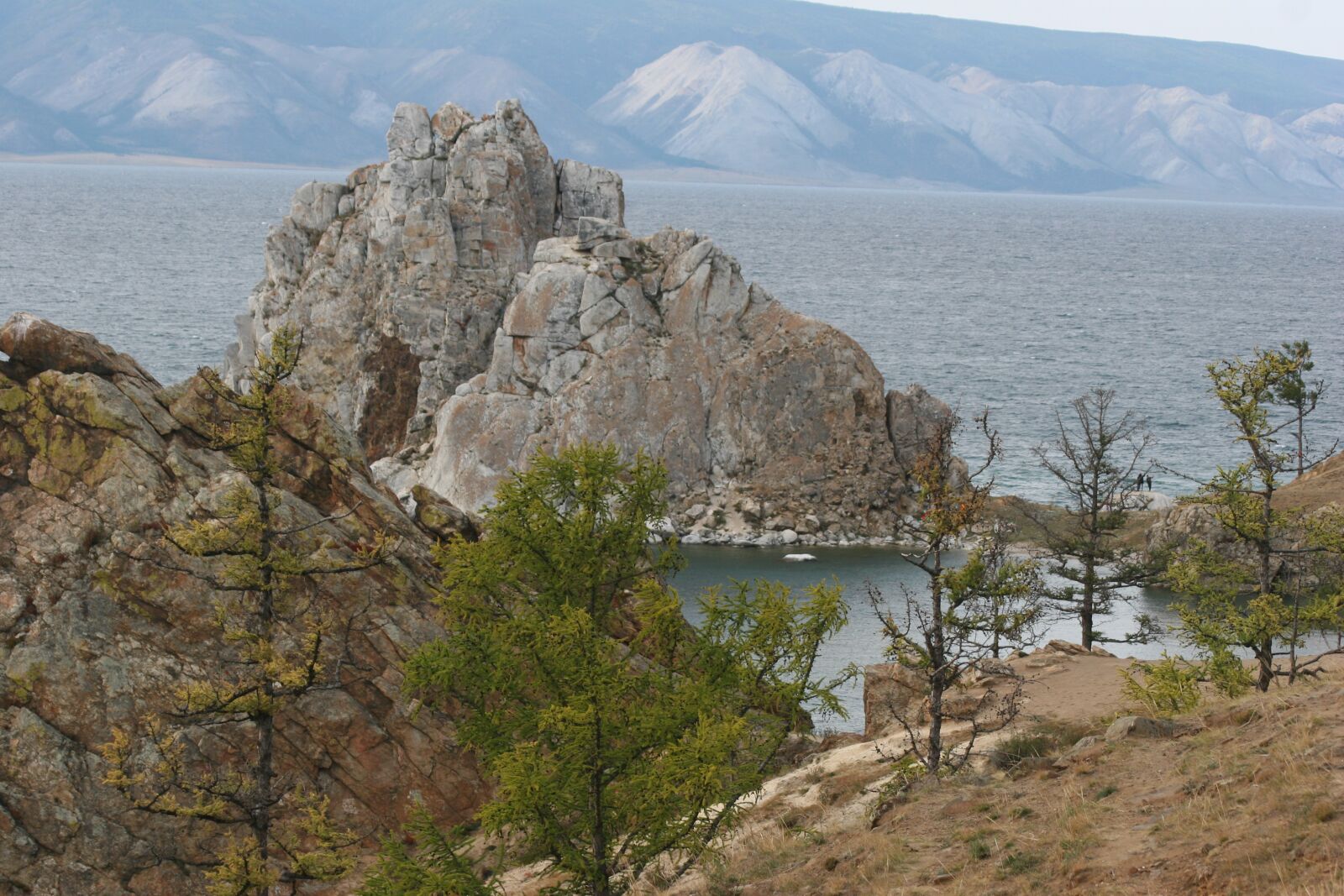 Canon EOS 20D sample photo. Orchid, baikalsee, olkhon photography