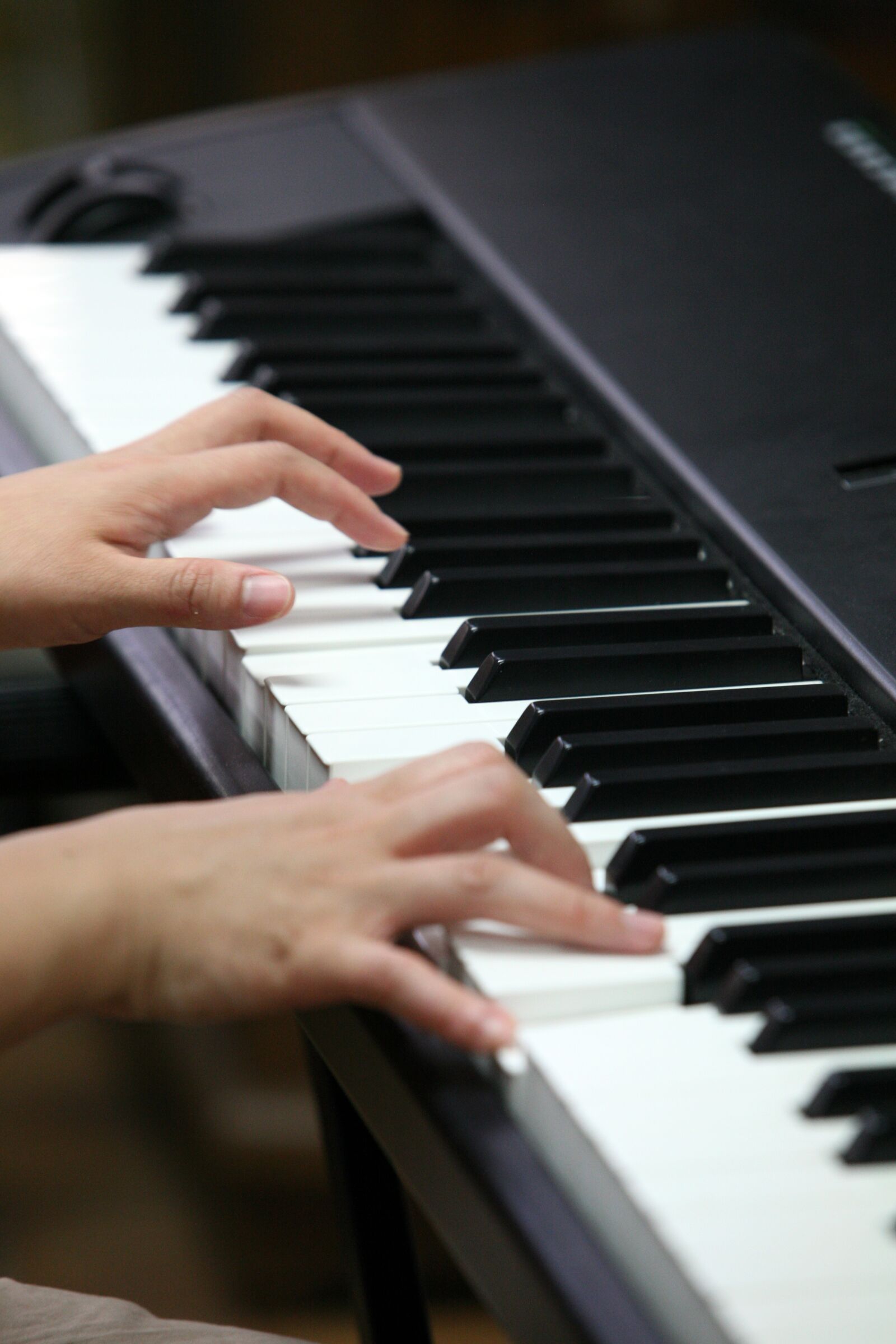 Canon EOS 5D sample photo. Instrument, music, played photography