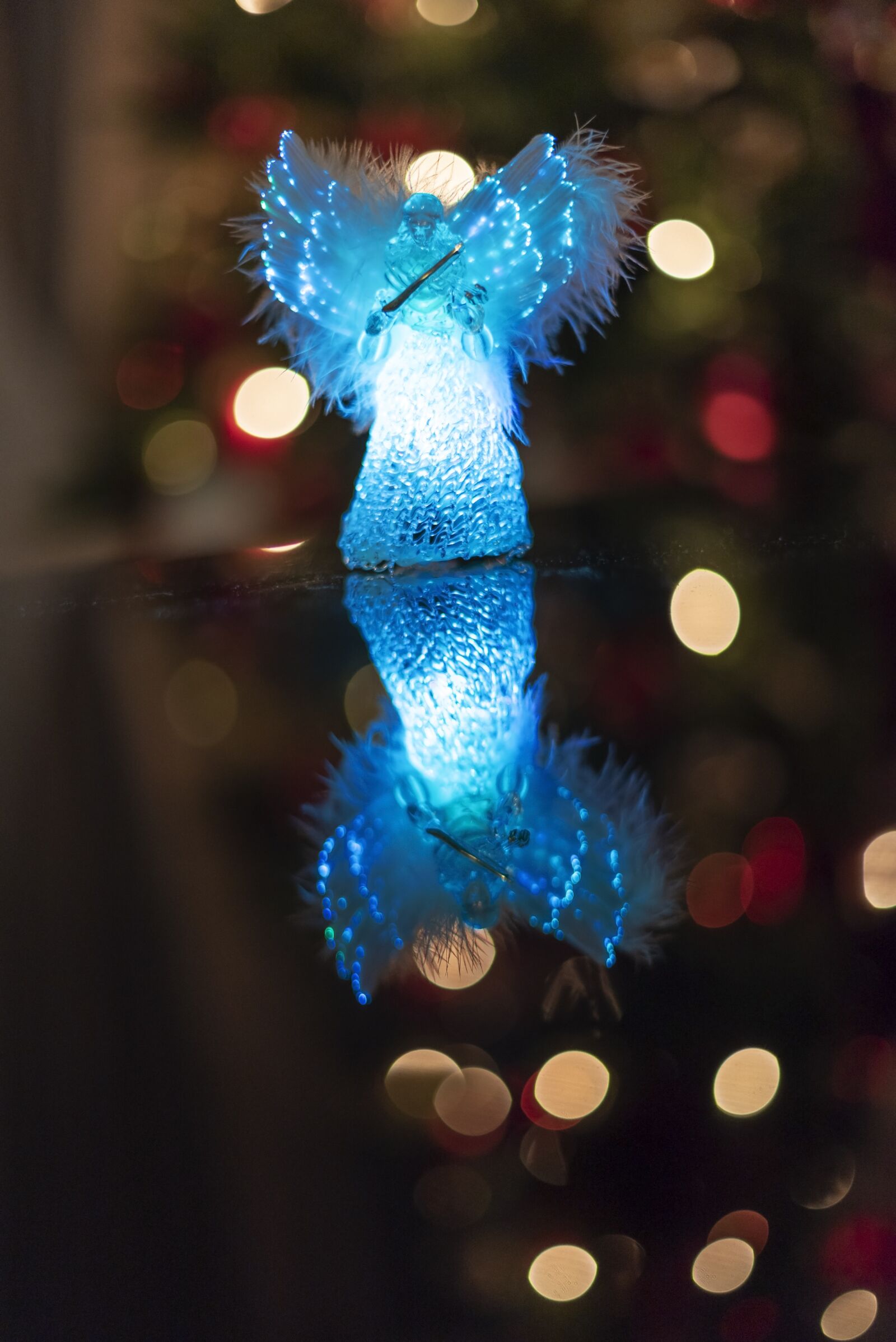Nikon D750 sample photo. Christmas, lights, holiday photography