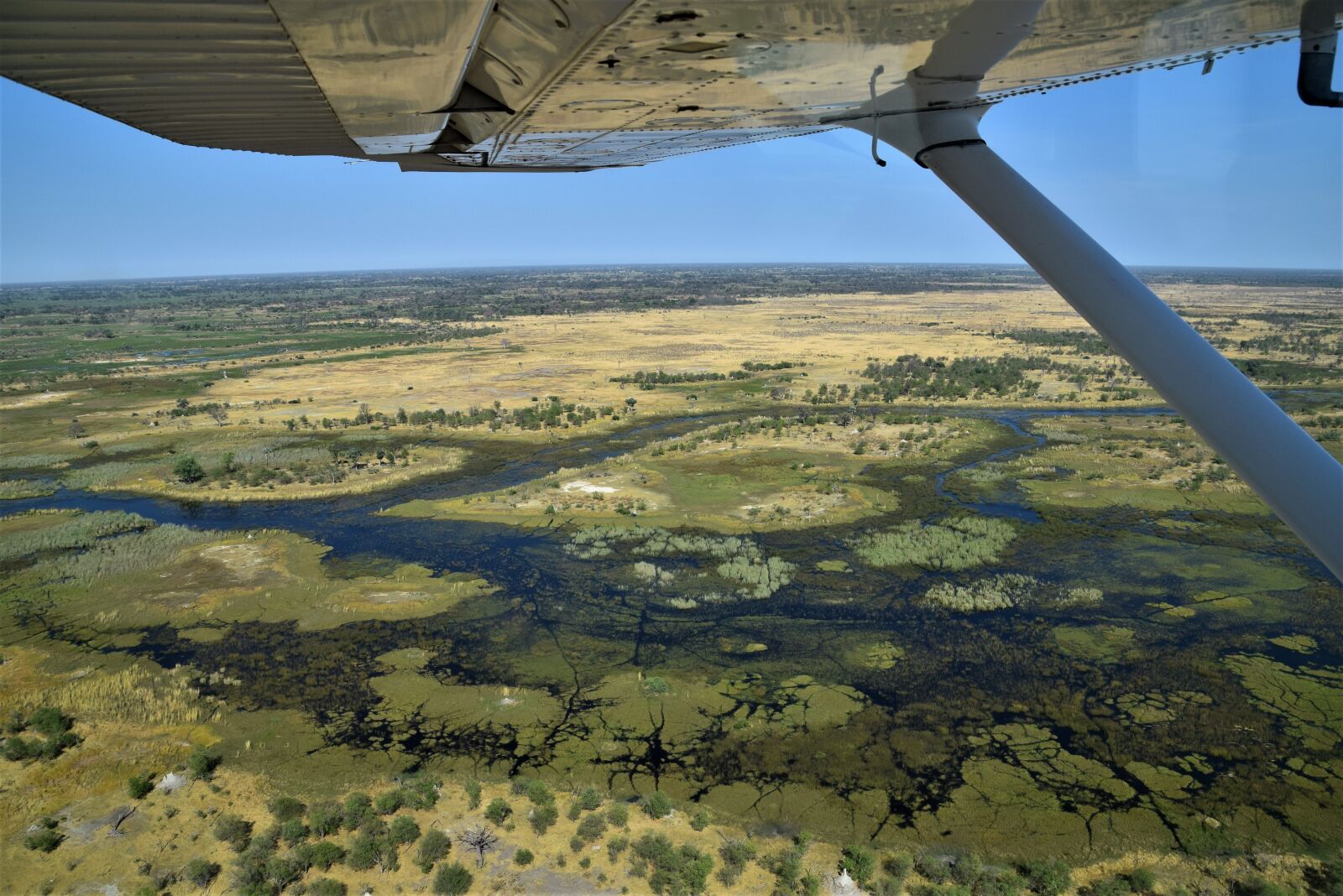 Nikon D3300 sample photo. Botswana, okavango, delta photography