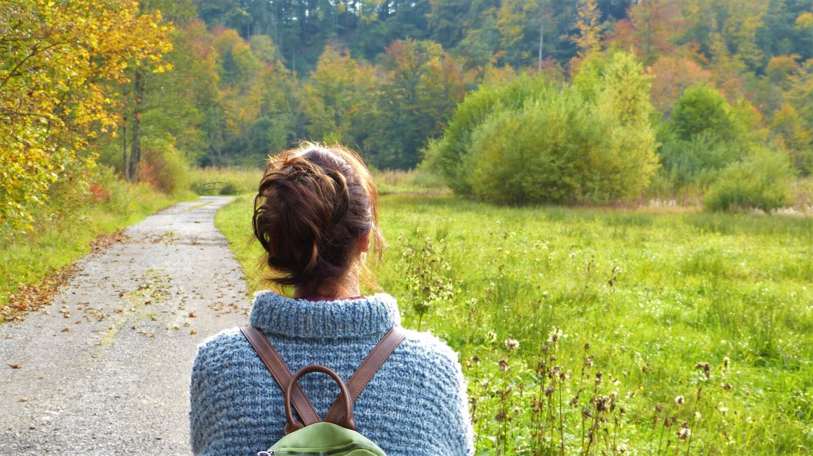 Panasonic Lumix DMC-FZ150 sample photo. Woman, away, nature photography